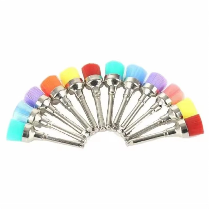 Zobozdravstvena uporaba Prophy Brush